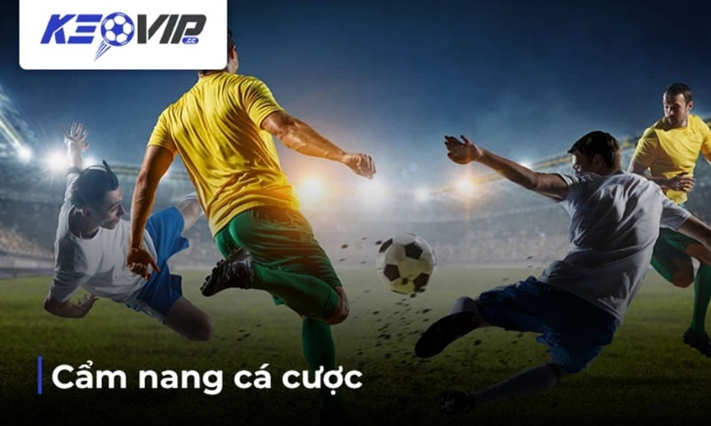 Chuyên mục cẩm nang cá cược bóng đá cung cấp những thông tin gì?