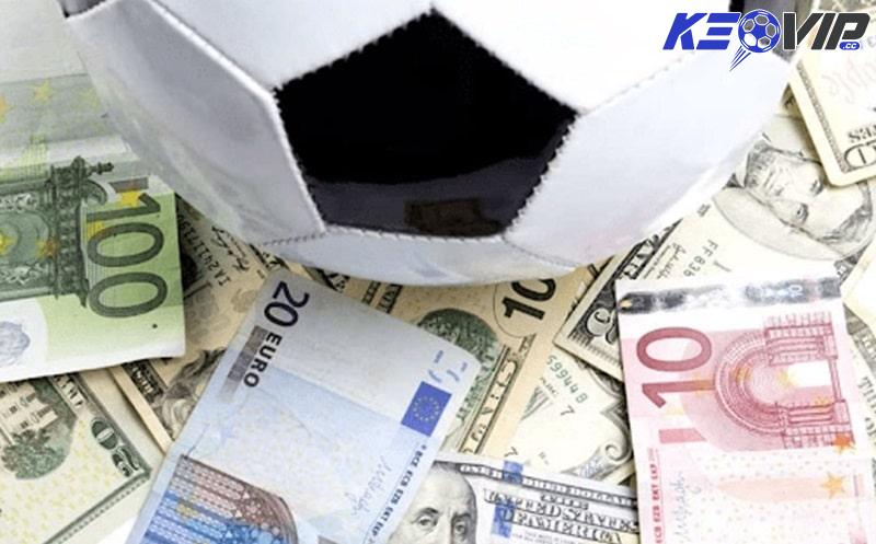 Những điều cần lưu ý khi tham khảo cẩm nang cá cược bóng đá