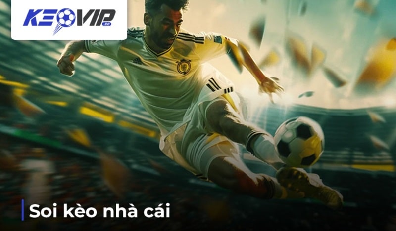 Soi kèo là quá trình tổng hợp, phân tích và đưa ra dự đoán về các tỷ lệ cược