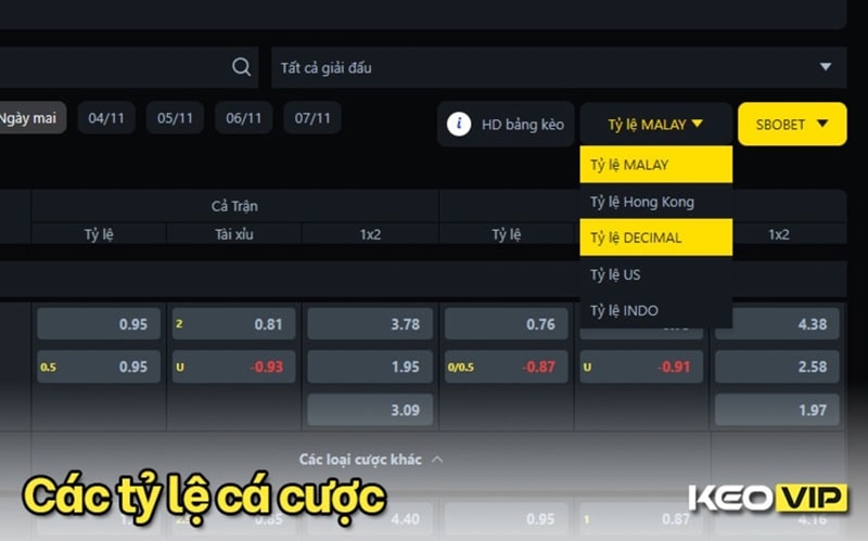 Các tỷ lệ cược thường thấy trên bảng kèo nhà cái